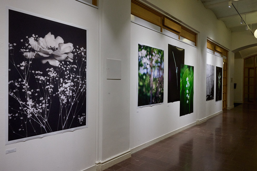 【東京工芸大学】日本・スウェーデンの写真学生による国際共同プロジェクト2026 ― 共同写真展開催、スウェーデンとの交流で学ぶ新たな写真表現