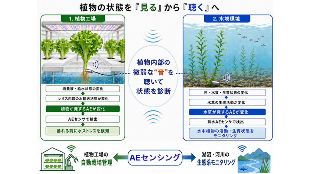 植物の『声なき声』を聴く―AEで水ストレスと生育を可視化―