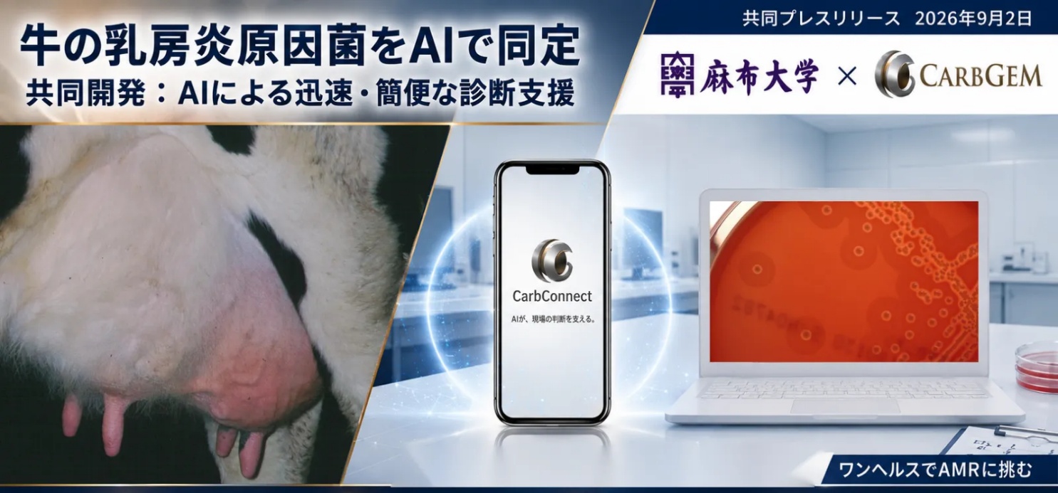 【麻布大学】獣医学部とカーブジェン株式会社、 ワンヘルスでAMRに挑む ― 経験によらず牛乳房炎の原因菌を同定するAIシステムを共同開発