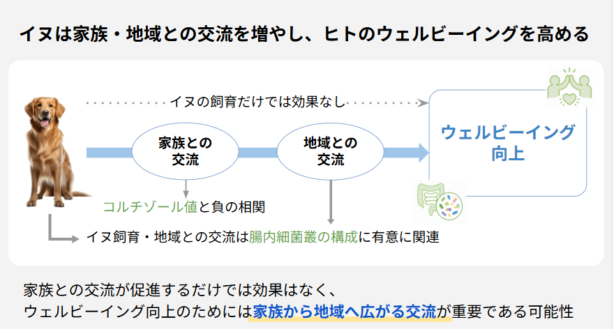 本研究の概要図
