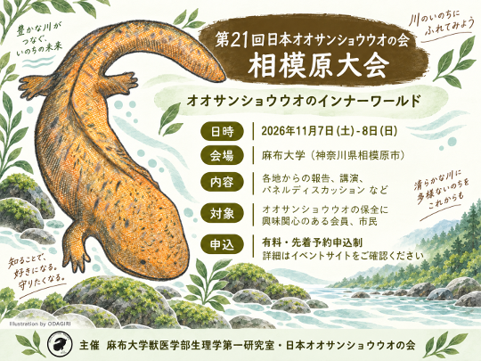 【麻布大学】「第21回日本オオサンショウウオの会 相模原大会」を麻布大学で開催 〜相模原には生息していない国の特別天然記念物を、首都圏で深く知る2日間〜
