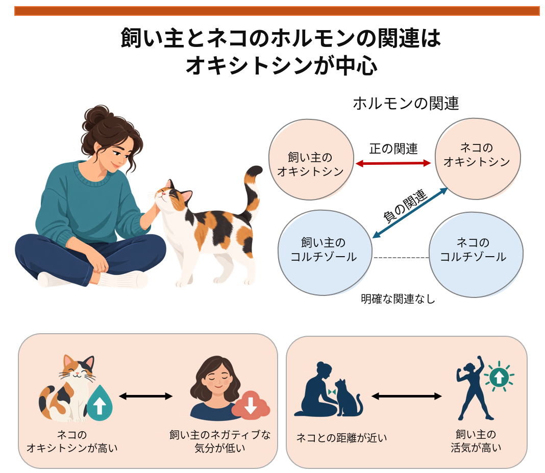 ネコと飼い主、オキシトシン濃度が相関 ―ネコとの近さは飼い主の活力とも関連―